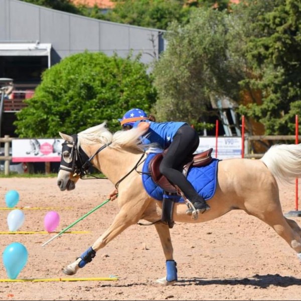 Suite de Découvrez la préparation physique pour le Pony-Games
